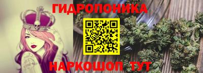 каннабис Будённовск