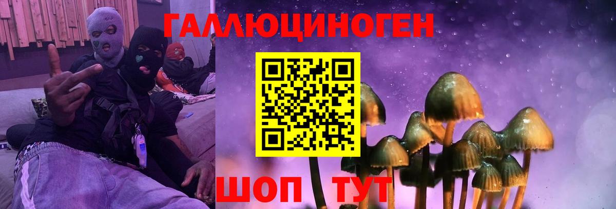 Корсаков  Псилоцибиновые грибы мухоморы  Псилоцибиновые грибы Psilocybe  Вход с VPN 