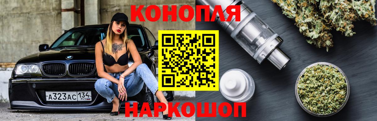 Бошки Шишки планчик  Вход с VPN  Корсаков  Каннабис White Widow 